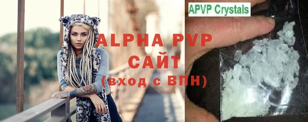 дживик Чита