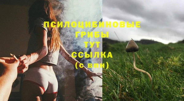 дурь Нязепетровск