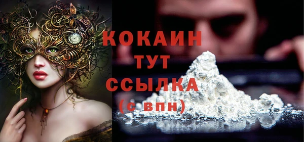 меф Няндома