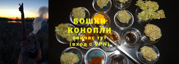 мдпв Нижний Тагил